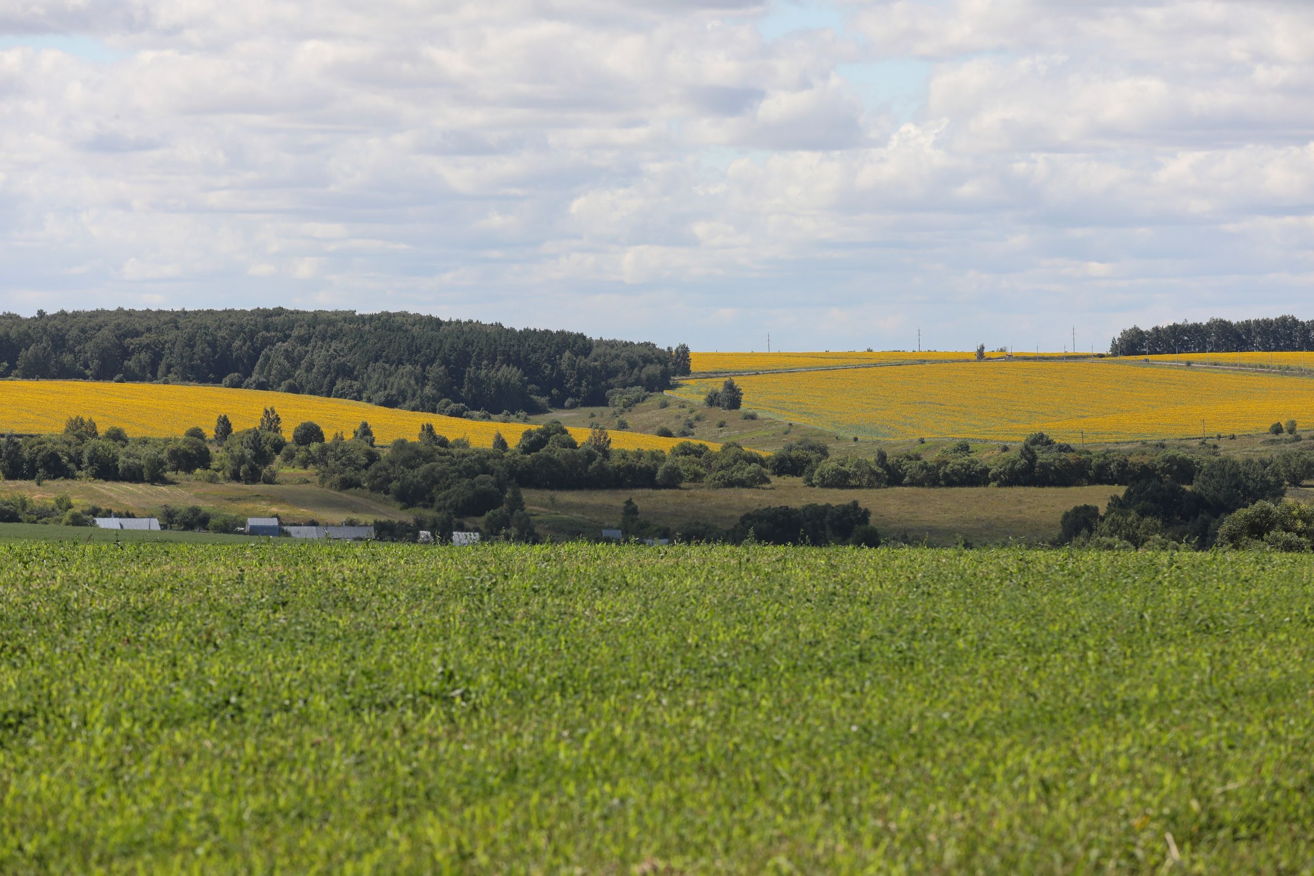 Лазарево меняется — и это заслуга каждого из нас